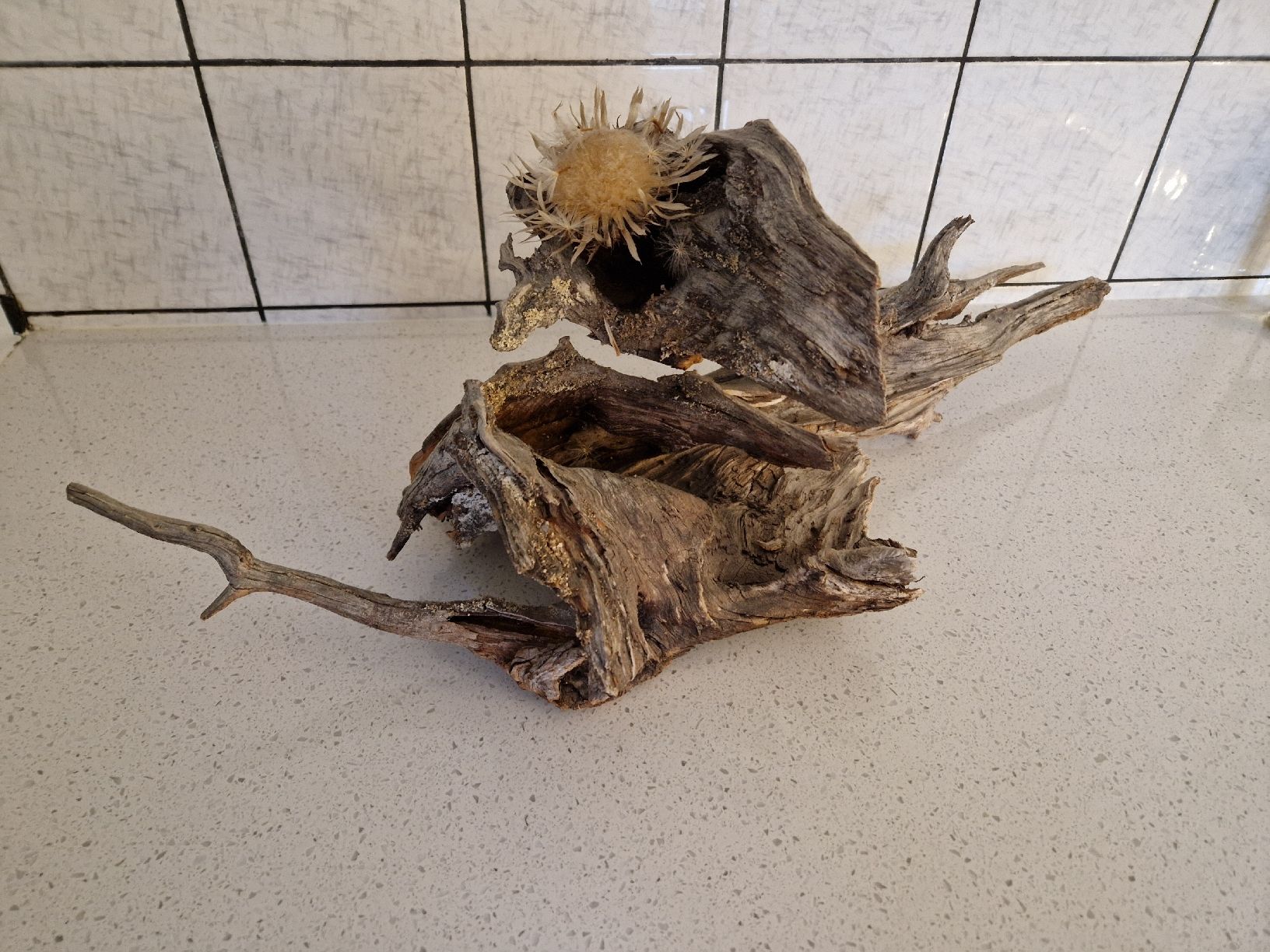 Tutte le decorazioni: Deko Wurzel – Usato da Triengen venduto da KittyKat6 1