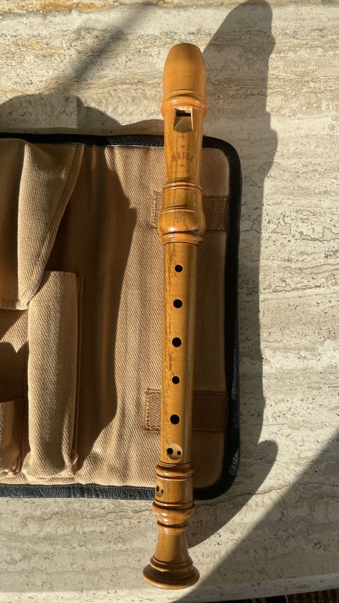 Instruments de musique: MOECK Sopranblockflöte (Holz) – D'occasion à Olten par LaraBuettiker