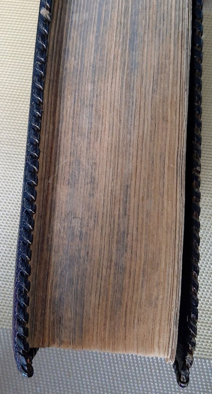 Libri: Bibel Meiringen – Usato da Zürich venduto da Zurich 8