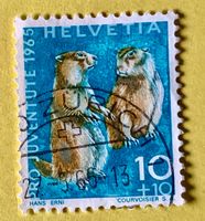Nr.J 211 GESTEMPELT Alpenmurmeltier 1965 Zürich