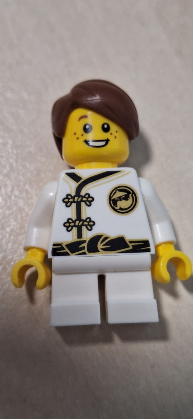 Lego Giocattoli: Lego Ninjago Lil Nelson Wu-Cru – Usato da Egnach venduto da sea_2zvc