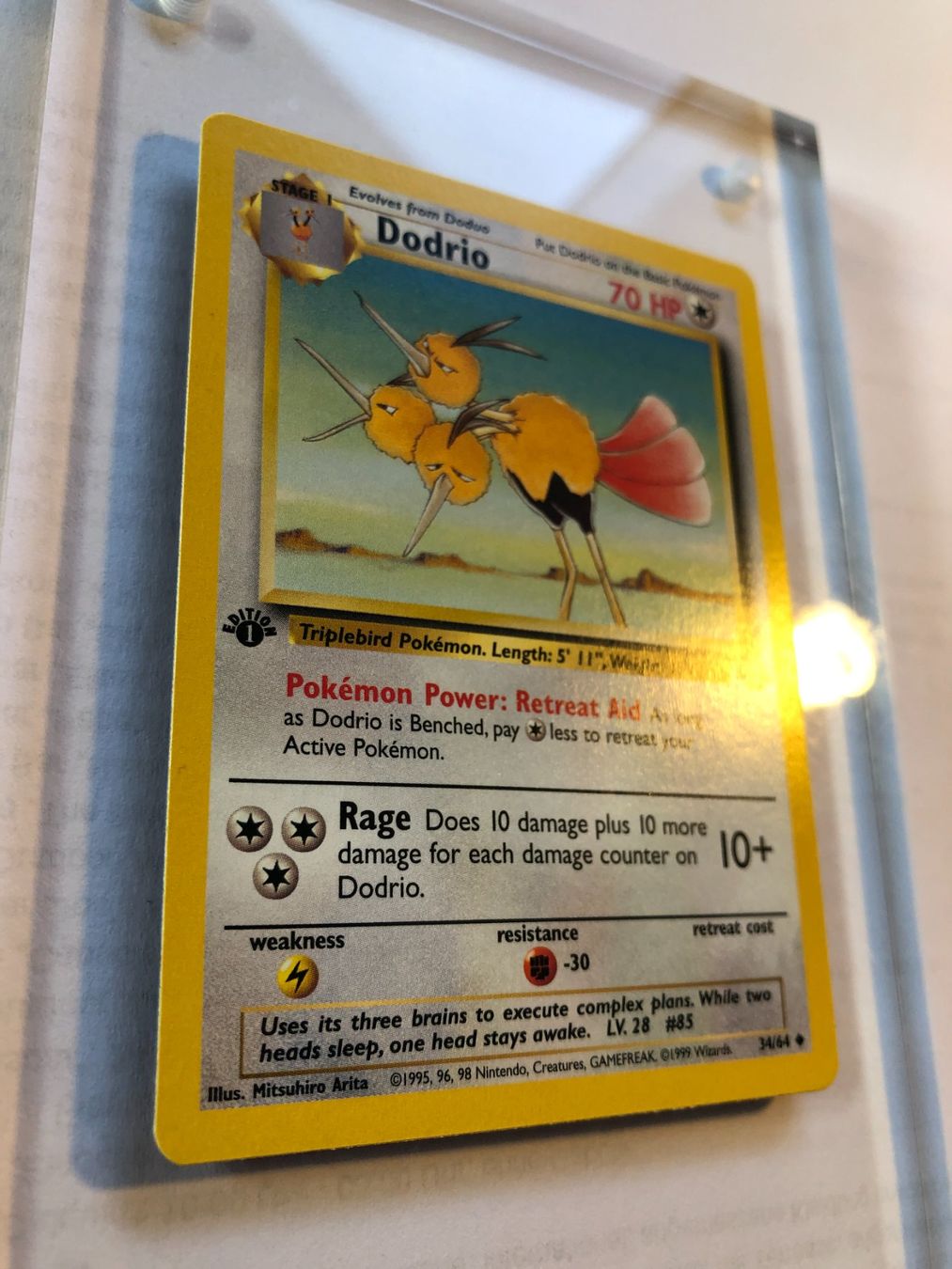 Cartes à collectionner: Dodrio (uncommon) 1st Jungle - MINT - ab 1.- – D'occasion à Giubiasco par dan_pr8b 1