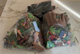 PLAYMOBIL -  Zoo & House Forest & Secret Dragon Fort