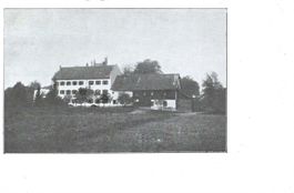 Bauernhof wo ? wann ? Private Foto AK ?  ca. 1920 Motiv