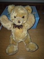Steiff Teddy mit Knopf im Ohr