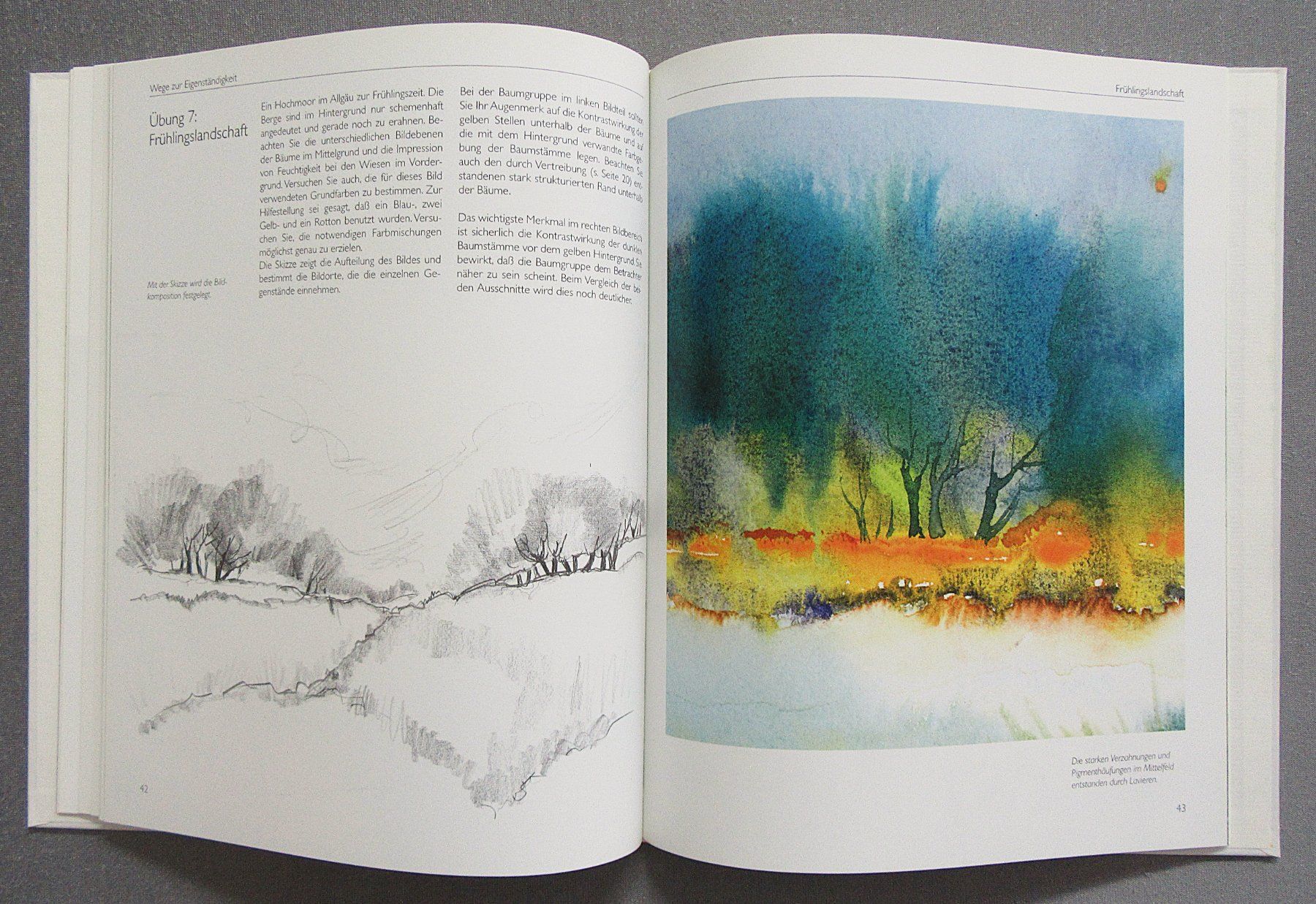 Libri: Nass-in-Nass Techniken • Aquarell Workshop – Usato da Auenstein venduto da Padabimbim 6