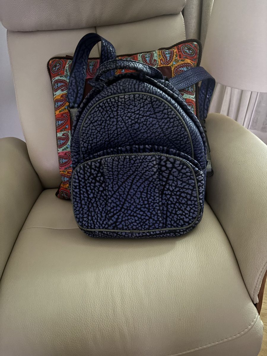 Alexander Wang Zaini: Alexander Wang  Rucksack – Usato da Zürich venduto da BredaB 1