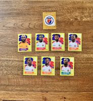 WM 2026 Sticker Haiti 7 Stk. + 1 Sticker-Logo