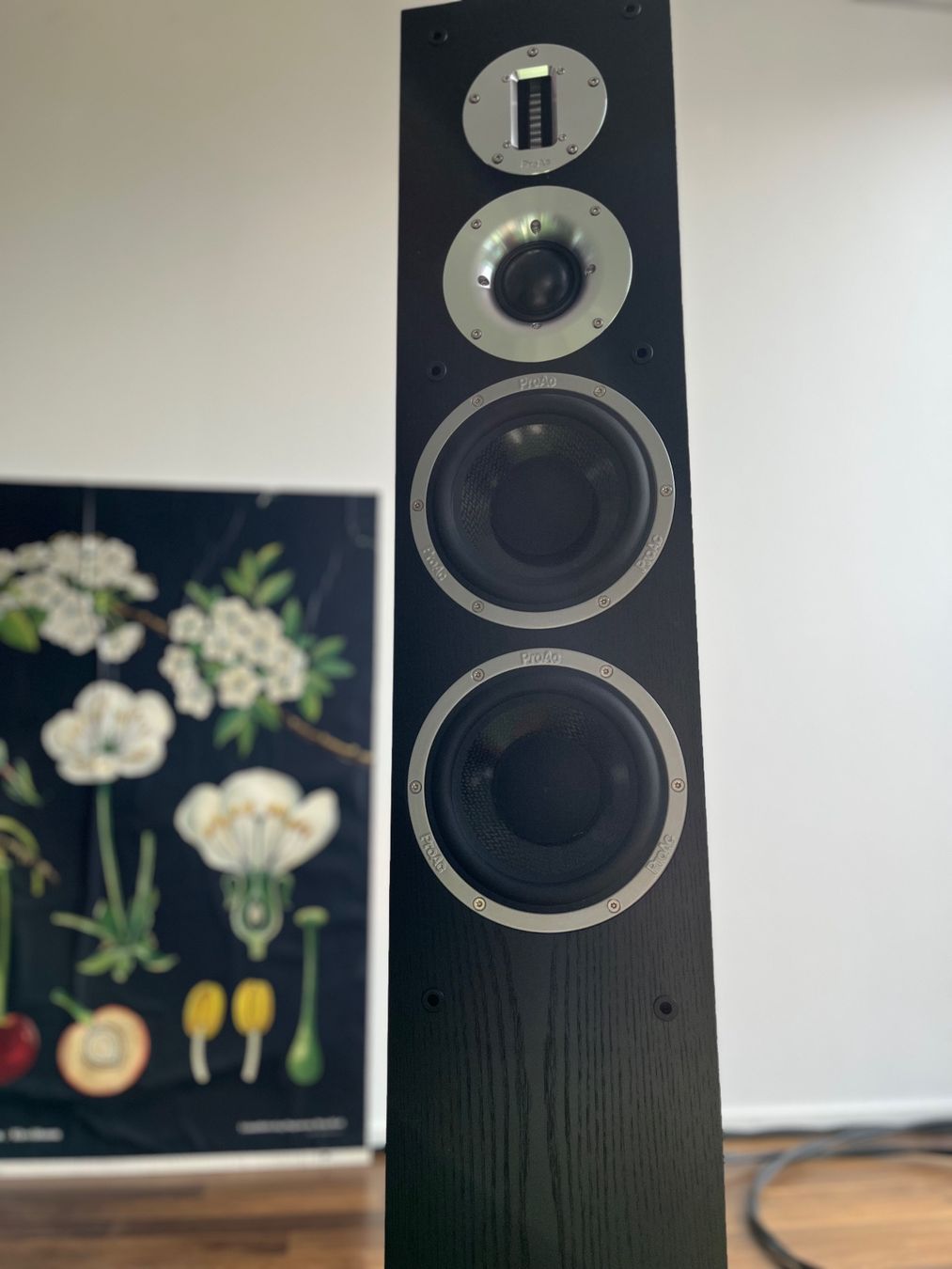 Proac Casse acustiche: Lautsprecher ProAc K6 – Usato da Biel/Bienne venduto da osajost 3