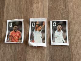 Panini Fussballsticker 3er Set Lamine Yamal Valverde neu