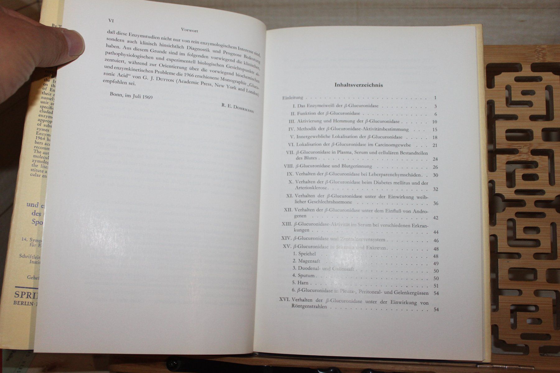 Libri: ß-Glucuronidase - Rolf E. Dohrmann – Usato da Kaden venduto da Buchantiquariat 1