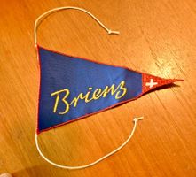 VINTAGE Wimpel BRIENZ nos ST. GALLER STICKEREI blau