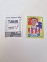 Panini Sticker PAR17