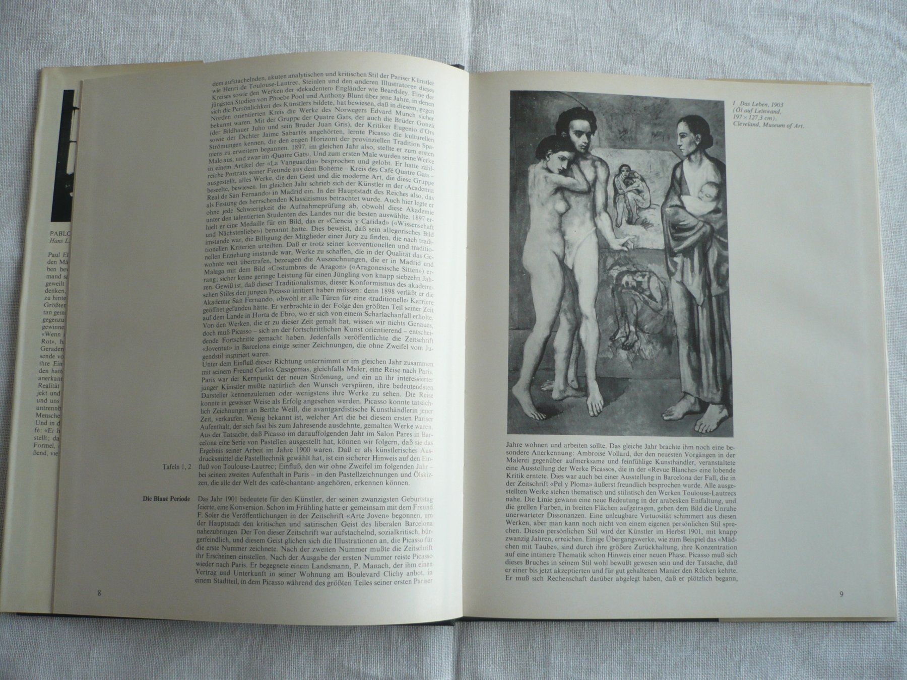Libri: PABLO PICASSO – Usato da Zürich venduto da saltandpepper008 1