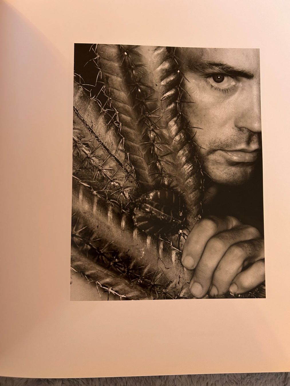Libri: GREG GORMAN   INSIDE LIFE – Usato da Genève venduto da zonzon9351 2