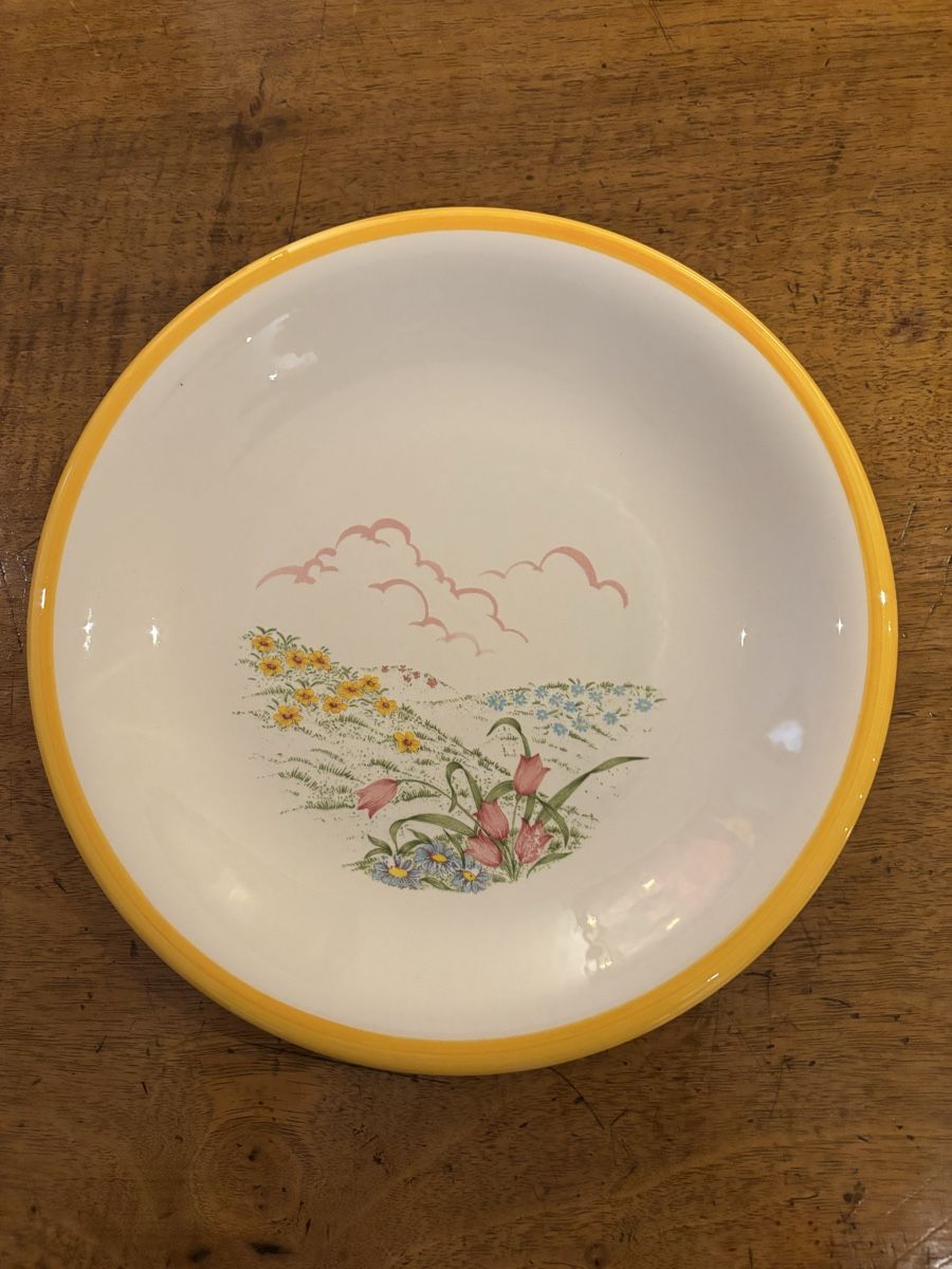 Geschirrsets: Set di piatti -per sei persone -  vintage con decoro – Gebraucht aus Vezia von rit_7ypb