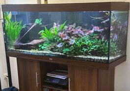 Aquarium / Terrarium Juwel Rio 450L, undicht an einer Stelle