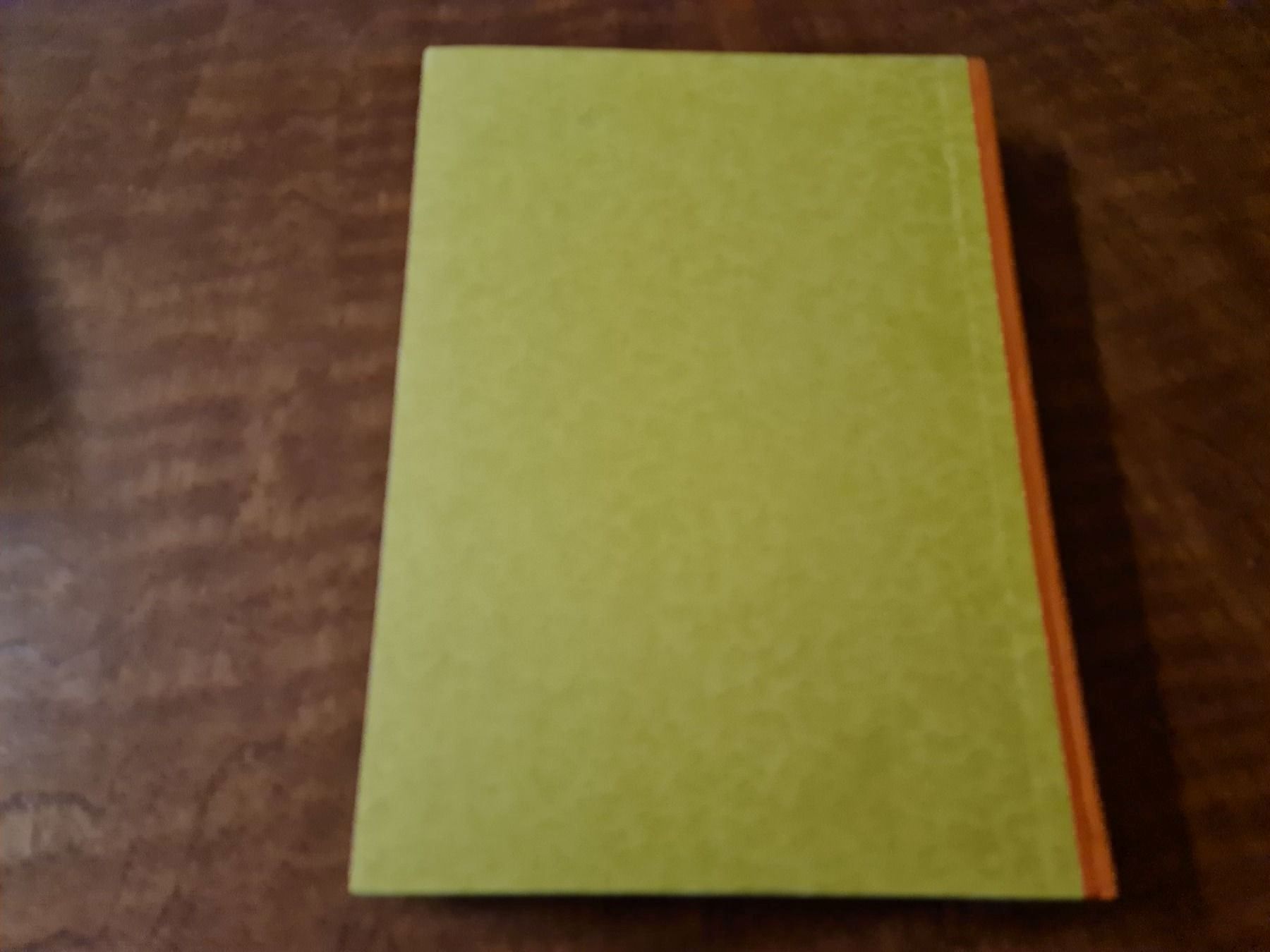 Libri: Susanne in Amerika – Usato da Erstfeld venduto da Mario_boe0 1