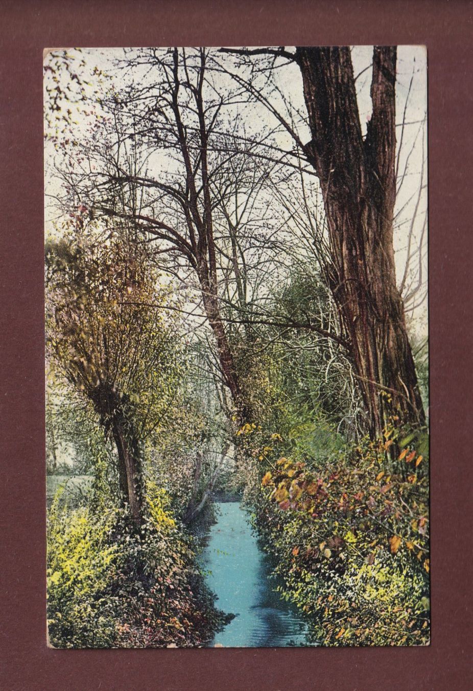 Cartes postales: PAYSAGE - 1909 – D'occasion à Pully par nicecards-shop