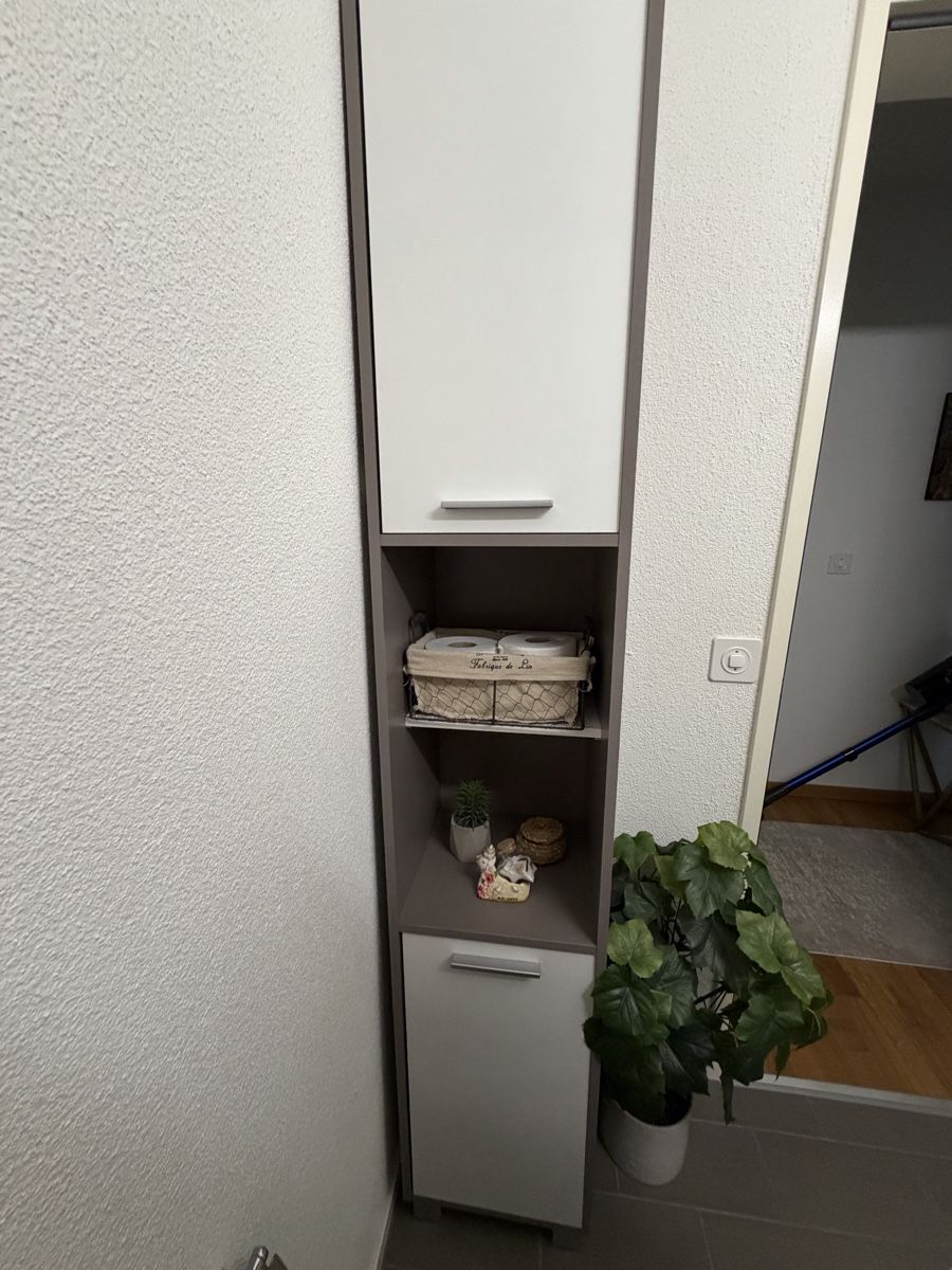 Conforama Armadi: Badschrank – Usato da Affoltern am Albis venduto da BRMLqi 1