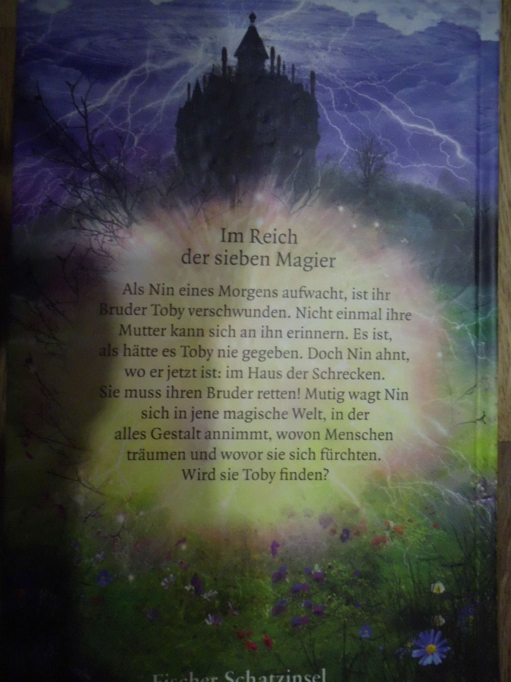 Libri: Buch – Usato da Oberurnen venduto da simgug 1