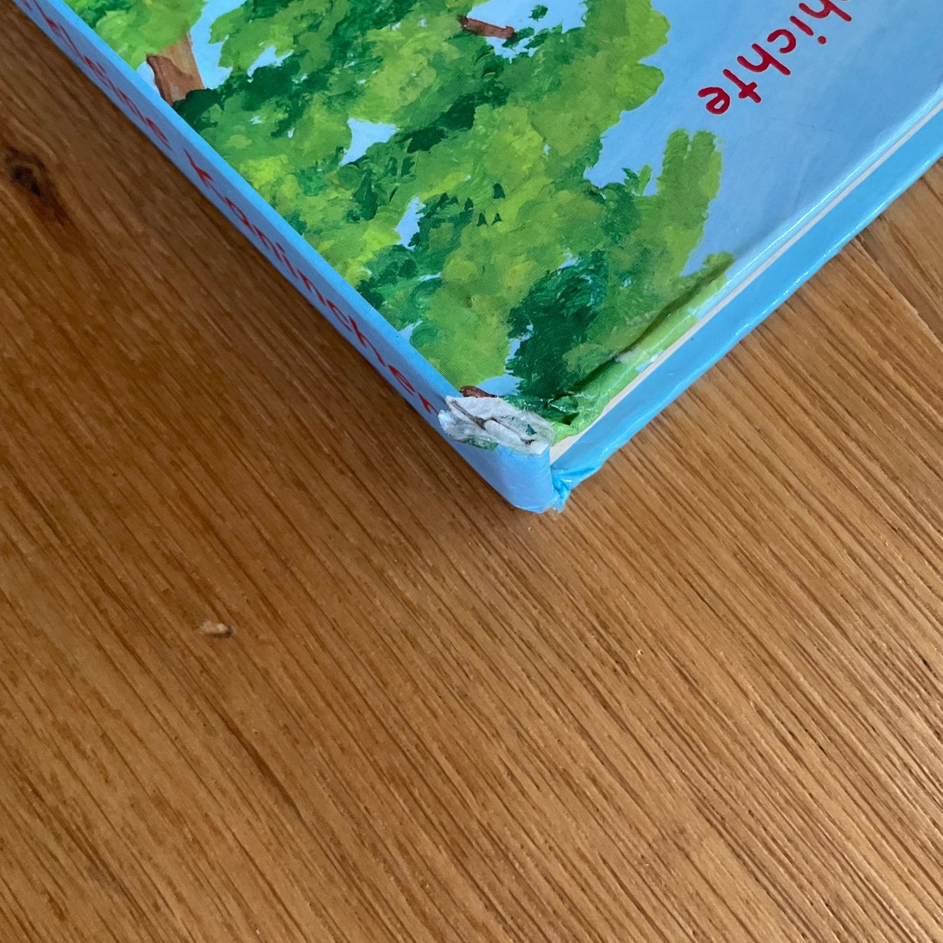 Libri: 2 Bilderbücher ab 2 Jahren – Usato da Niederteufen venduto da sicmu 6