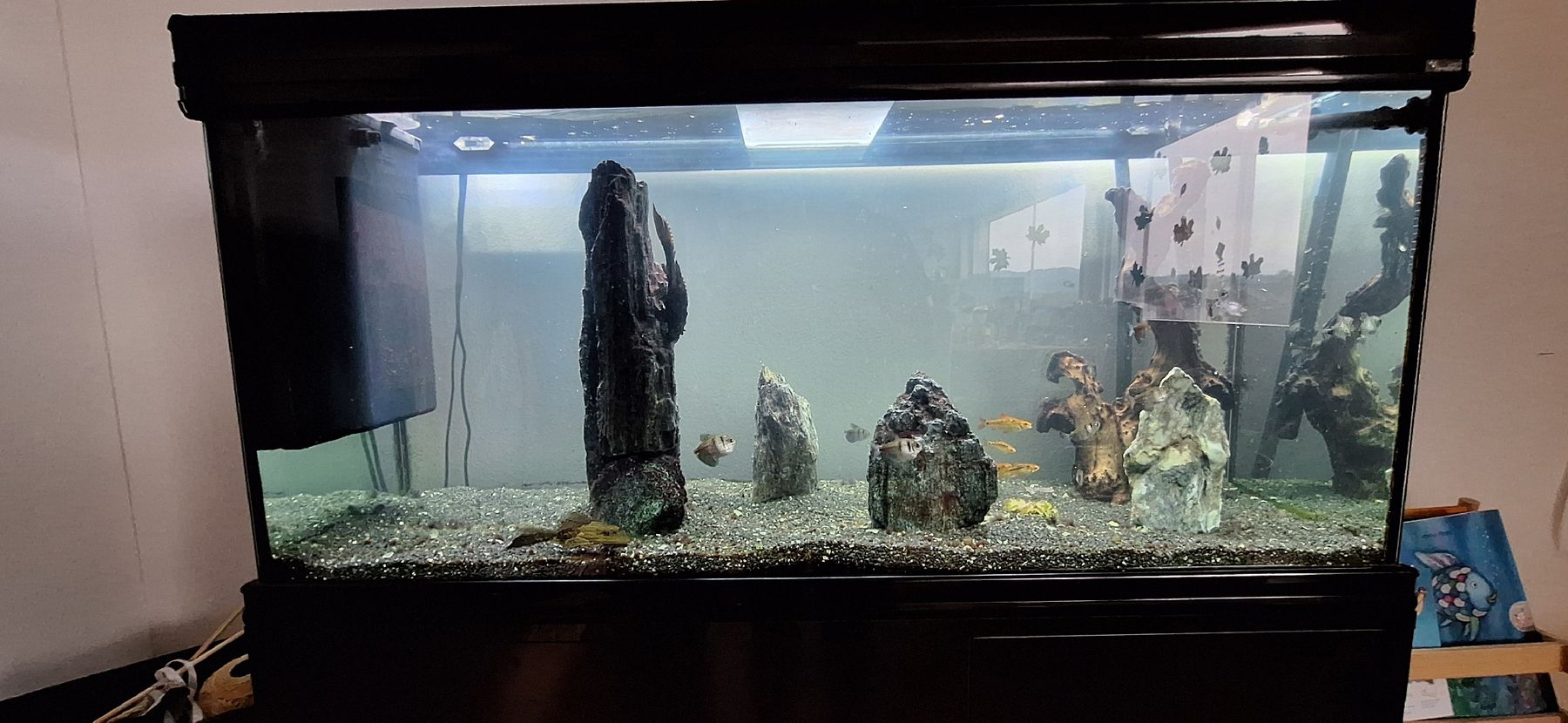 Acquari: Aquarium Aquatlantis – Usato da Hochdorf venduto da FRESHTRASH