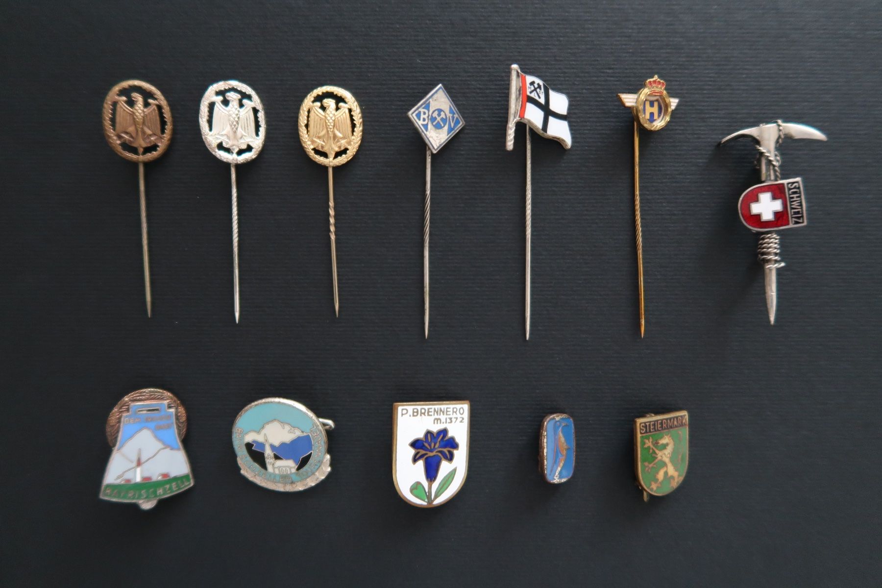 Plaketten & Abzeichen: Diverse Anstecknadeln und Pin – Gebraucht aus Herzogenbuchsee von seeleopard