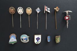 Diverse Anstecknadeln und Pin