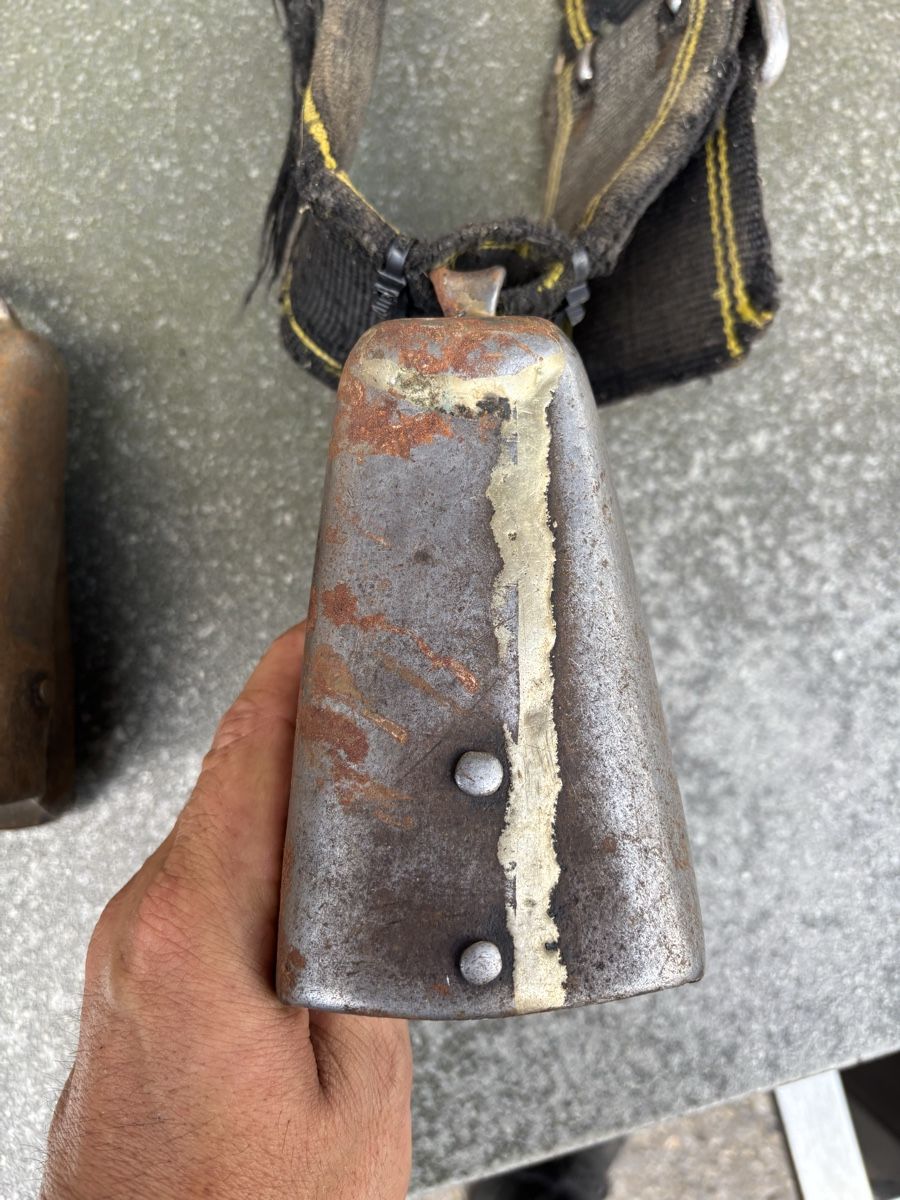 Campanacci mucche: 2 Bissen I.Zwyer Altdorf. – Usato da Schangnau venduto da Roseggli82 4