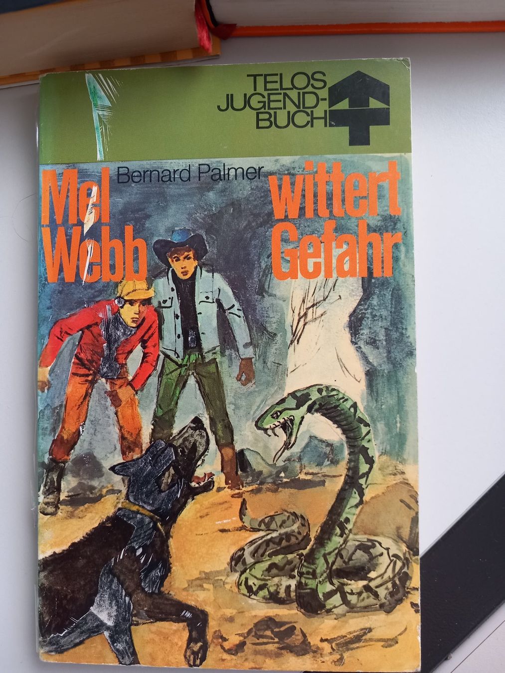 Bücher: 3 verschiedene Jugendbücher – Gebraucht aus Lindau von san_kg2j 3