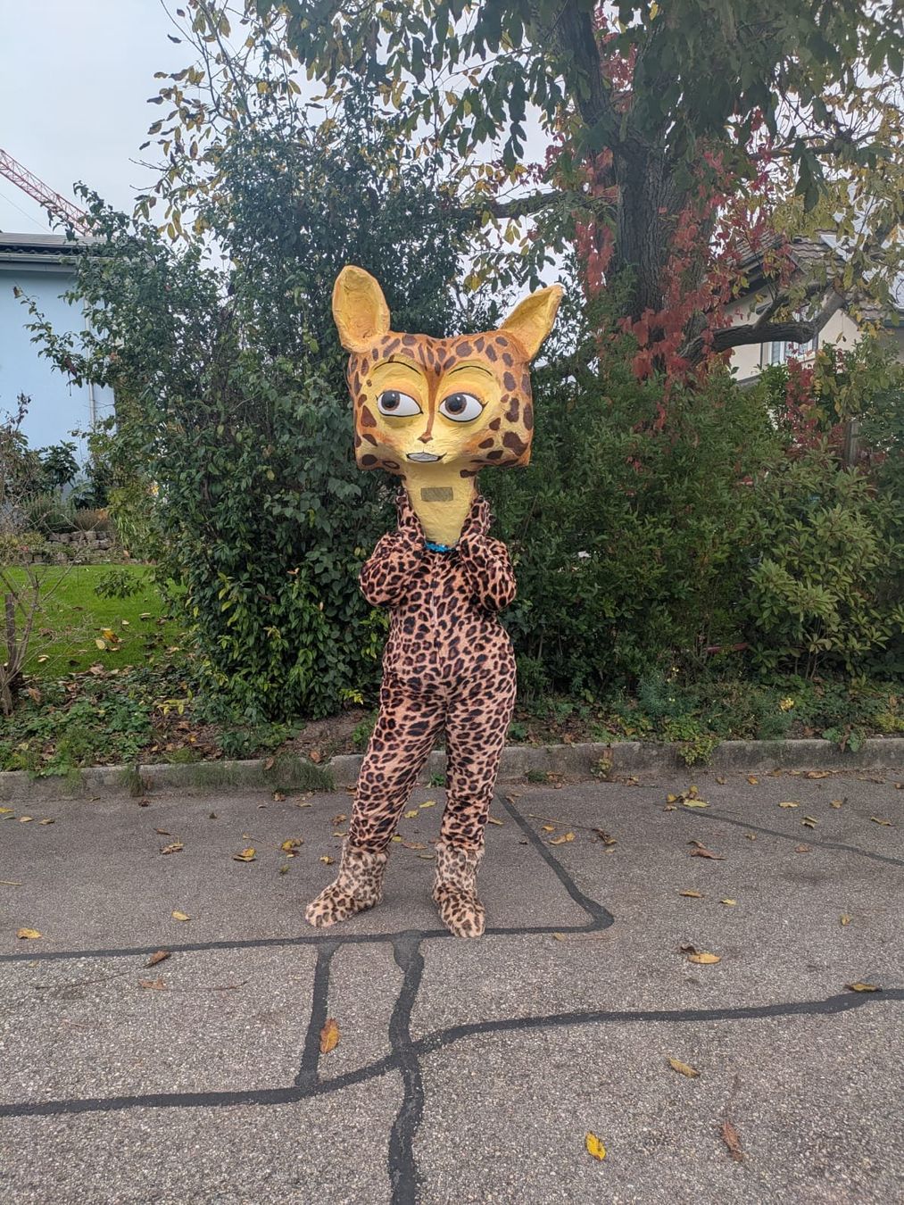 Costumi: Gia aus Madagascar Fasnachtskostüm – Usato da Gerlafingen venduto da Remo96