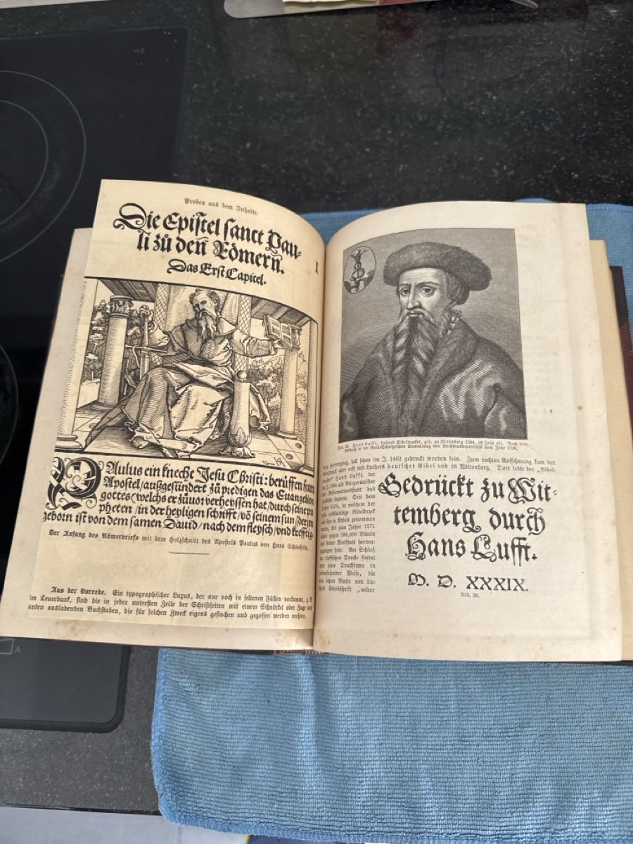 Libri: Buch, deutsche Literatur Geschichte 1879 – Usato da Siebnen venduto da Micha1307 4