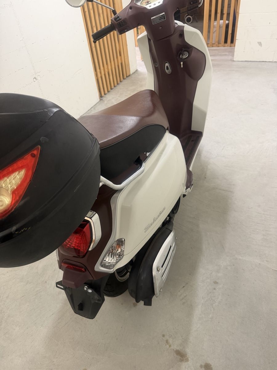 Tell Scooters: Tell Zahara 125i – Gebraucht aus Regensdorf von mex5145 7