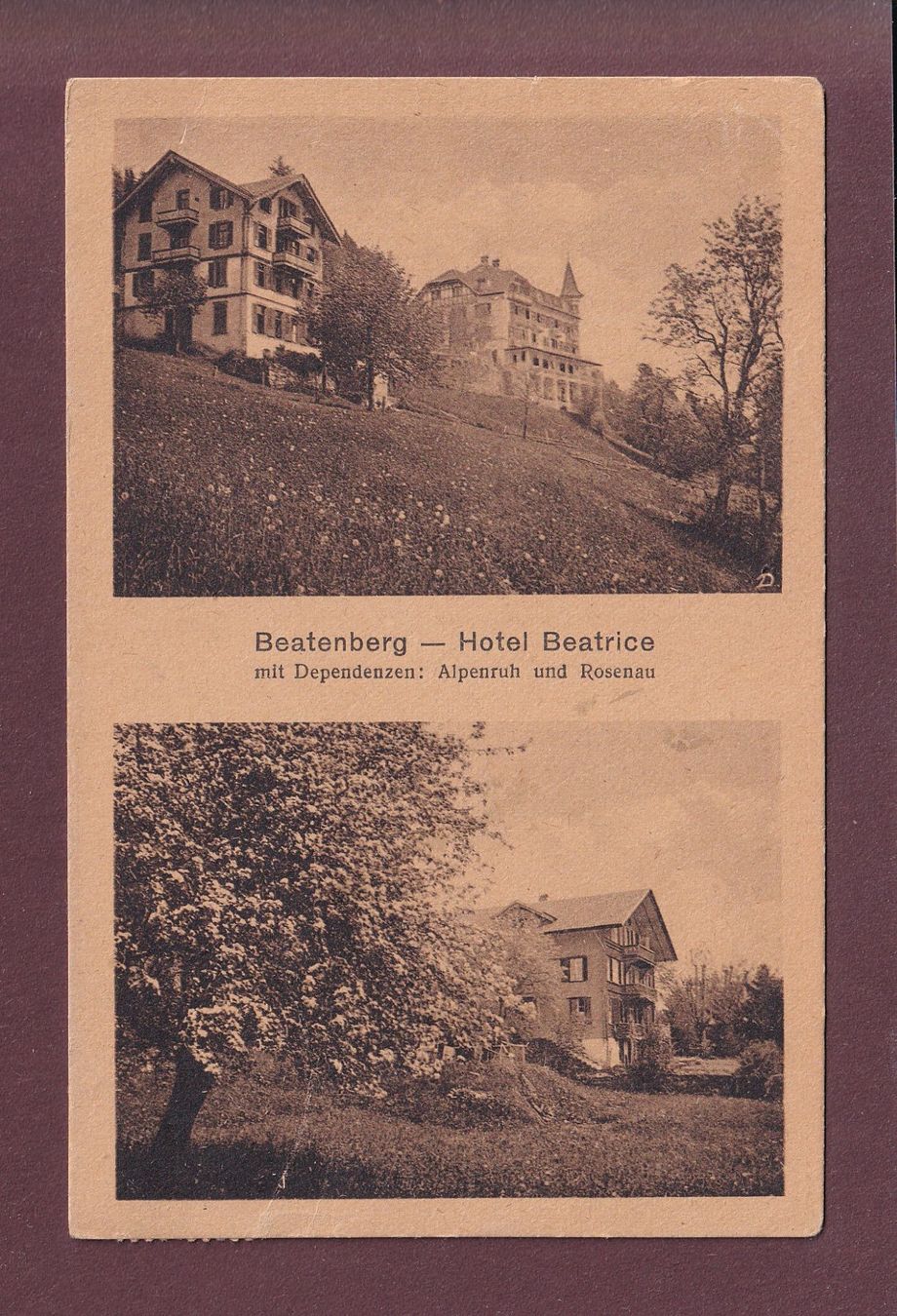 Cartes postales: BEATENBERG - Hotel Beatrice - 1925 // Falte // – D'occasion à Pully par nicecards