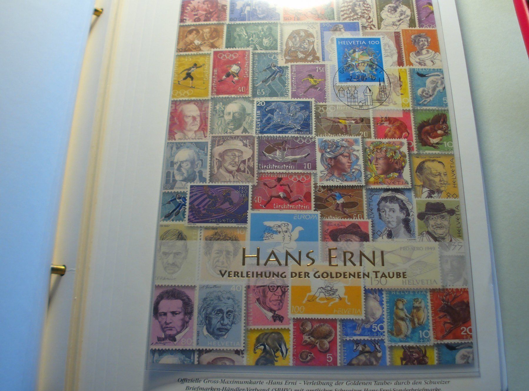 Tutti i francobolli: Maximumkarte Hans Erni, 2009, – Usato da Niederwil AG venduto da morostahu