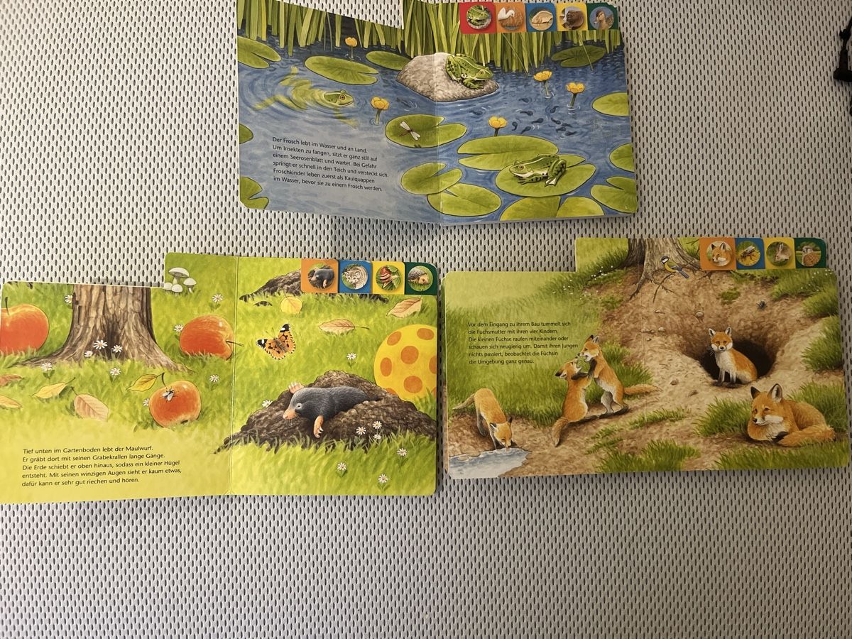 Bücher: 3 Kinderbücher ab 18 Mon. – Gebraucht aus Riehen von chr_h8fh 1