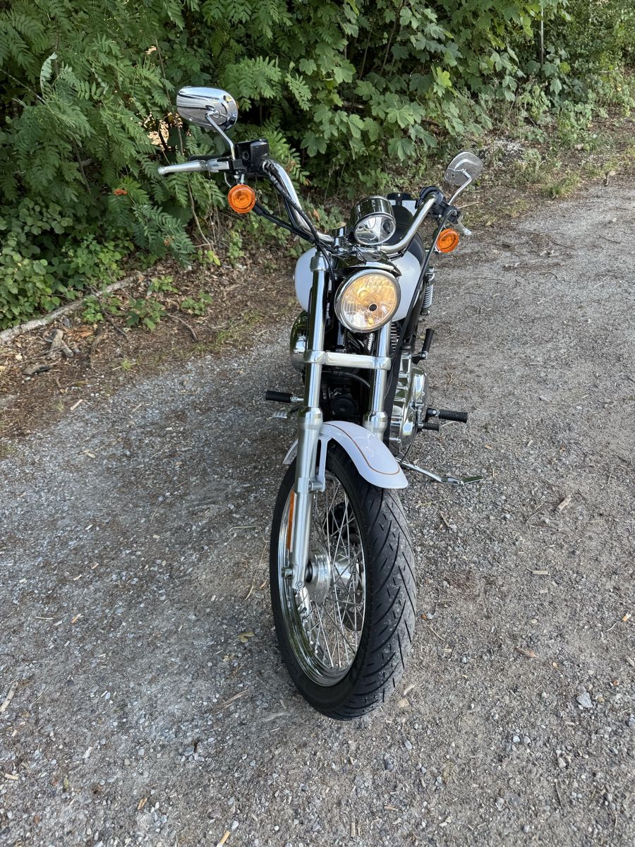 Harley-Davidson Chopper: Harley Davidson XL 1200 L – Gebraucht aus Nesslau von cwaege 1