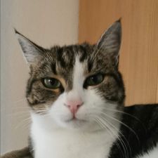 Profile image of val_9trt