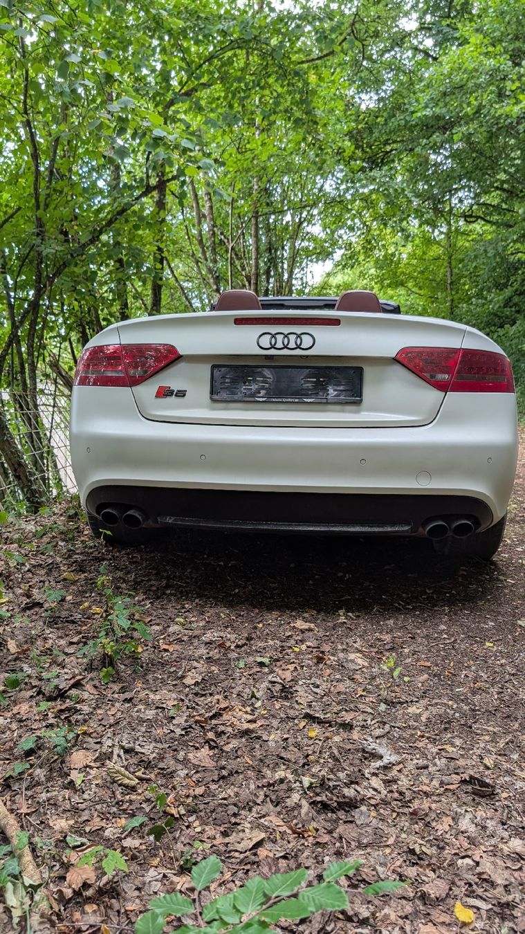 Audi Automobili: Audi S5 Cabrio 3.0tfsi 333ps – Usato da Gerlafingen venduto da givova4563 4