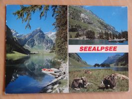 Seealpsee  - 1990 - Suisse