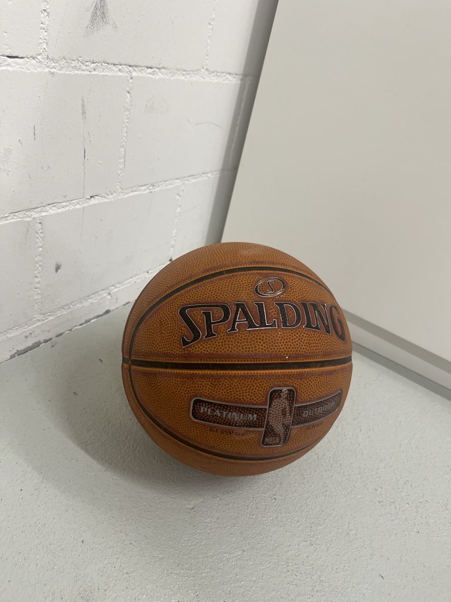 Spalding Palloni: Spalding NBA Platinum Basketball – Usato da Würenlos venduto da jam_mv8g 3