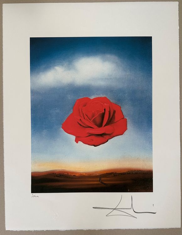 Salvador Dali: Die meditative Rose L/MM (Neu (gemäss Beschreibung)) in ...