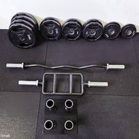 Hantelscheiben 80 kg & SZ Stange & Hammerbar & Ständer