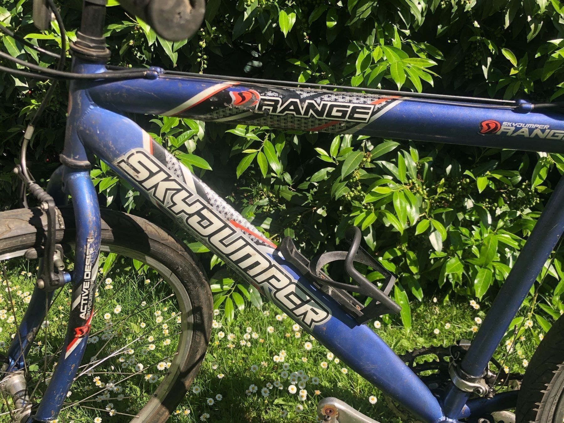 Biciclette: Fahrrad Skyjumper – Usato da Schlieren venduto da Flower5 1