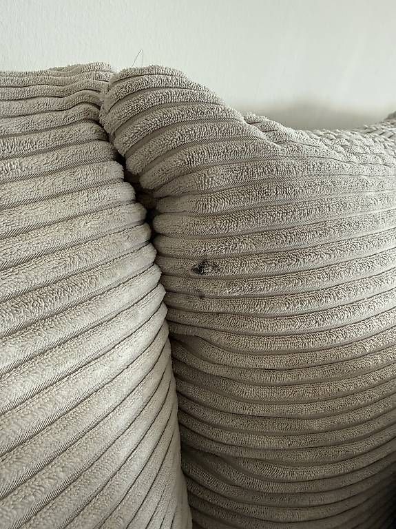 Divani: Cord Sofa – Usato da Zollikerberg venduto da sim_q7v9 3