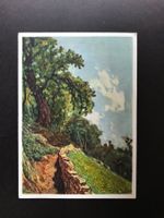 Pro Juventute Karte 1929 m. 123III + 170