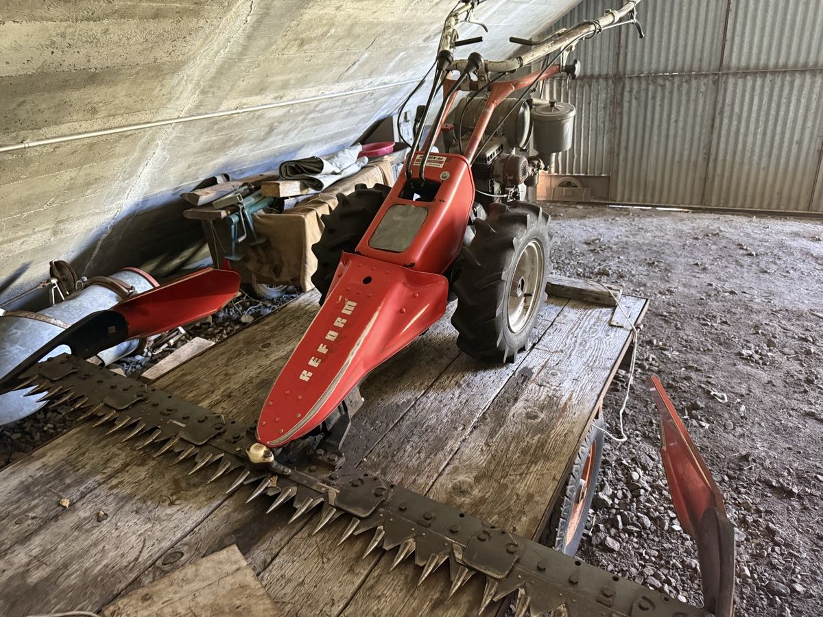 Reform Tutte le macchine: Reform 316 D Motormäher – Usato da Münster venduto da werage