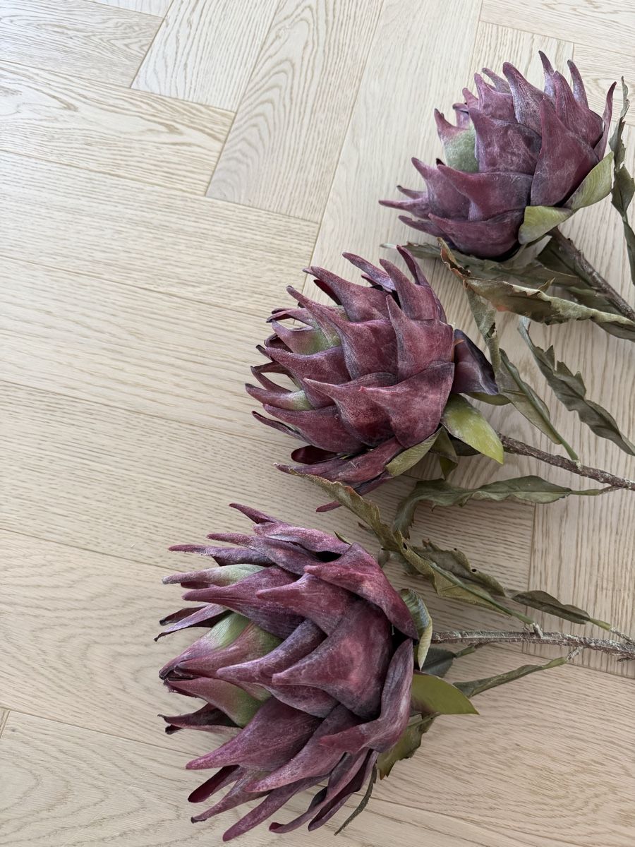 Pflanzen & Samen: Westwing - Kunstblume Protea – Neu und originalverpackt aus Horgen von Christina93Jolina 1