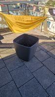 Blumen Topf
